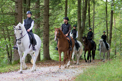 Les équipements d'équitation indispensables