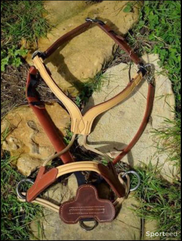 Equitation - Bridon Likorne couleur Cognac et biche - photo 3