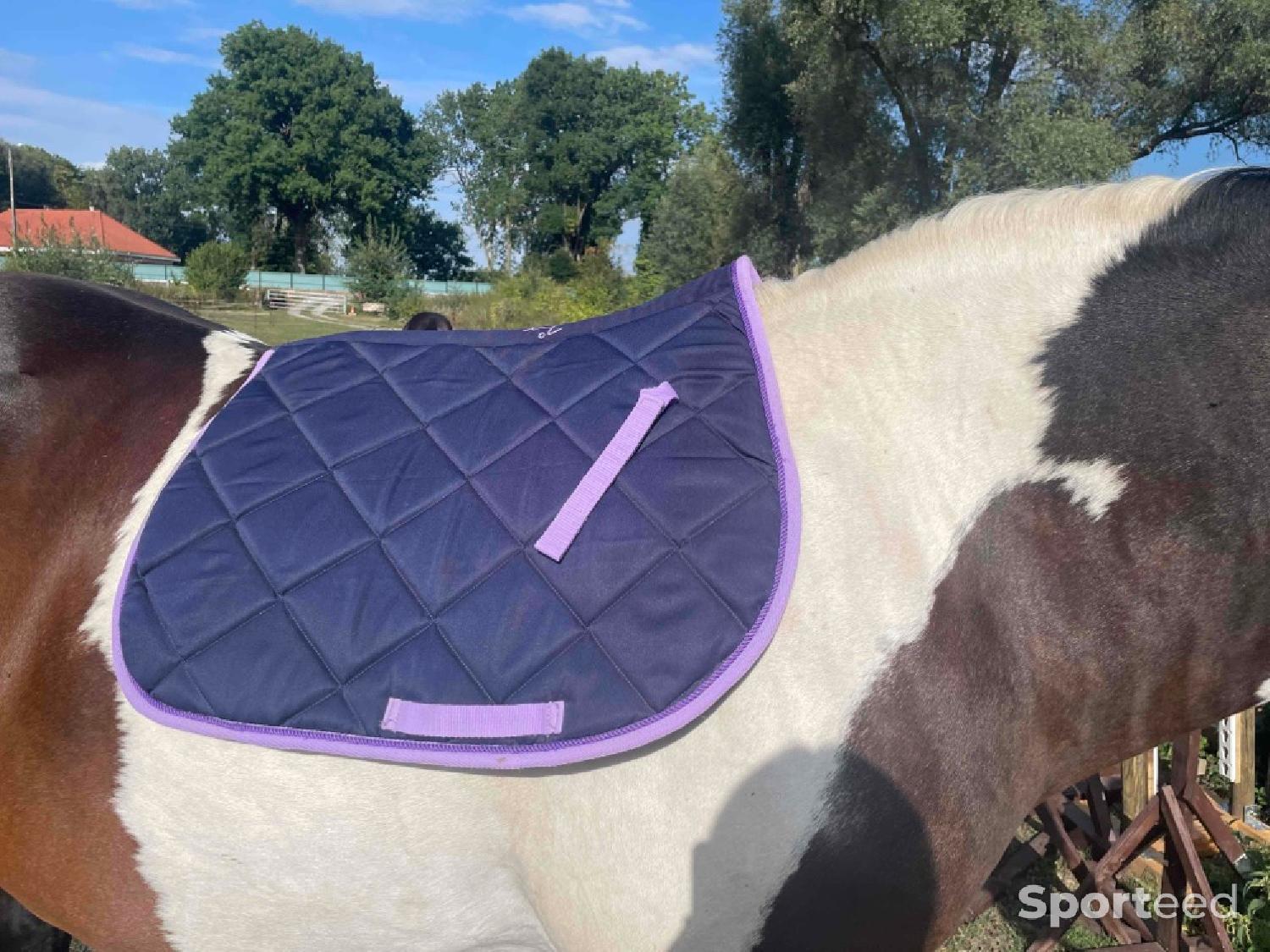 Tapis équitation cheval Jmr en tbe à 20 euros - Jmr