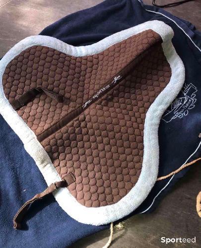 Amortisseur bleu et brun