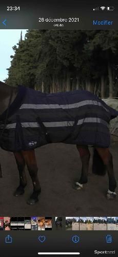 Couverture de box cheval 145 