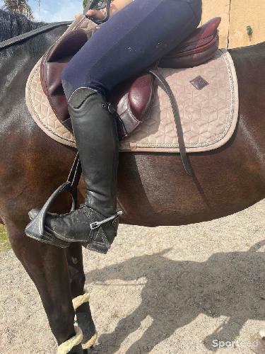 Equitation - Selle forestier  - photo 5