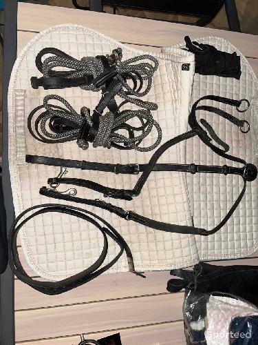 Paire de rênes allemandes 