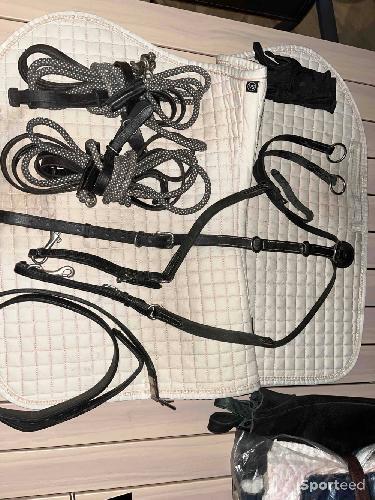 Paire de rênes allemandes 