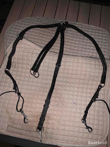 Collier de chasse + martingale 