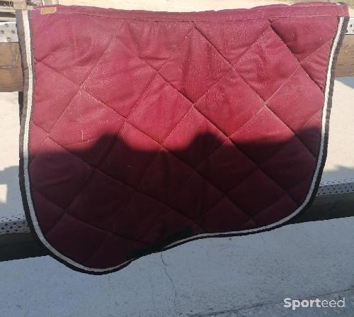 Tapis de selle mixte