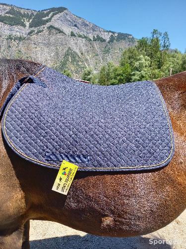Tapis de selle, taille cheval neuf 
