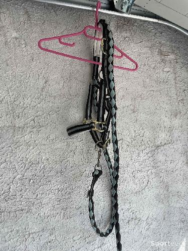 Licol + longe