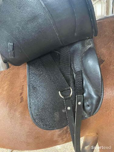 Equitation - Selle dressage Thesee  - photo 6