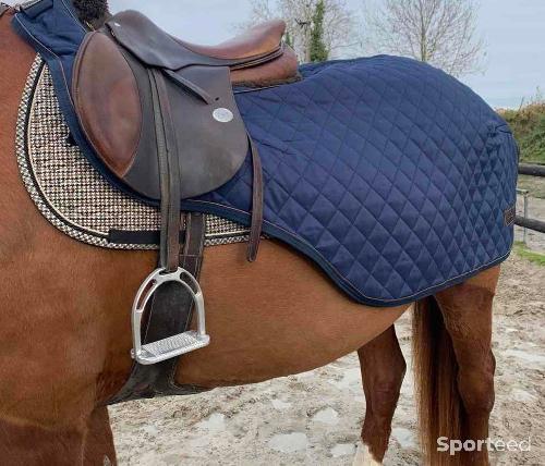 couvre rein kentucky bleu marine