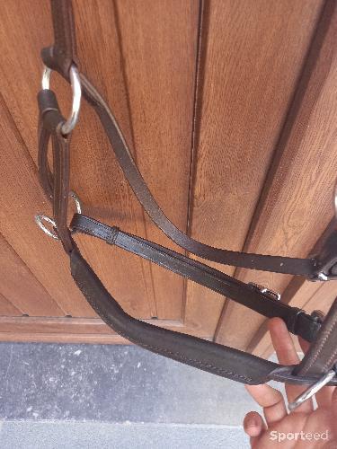 Equitation - Bridon sans mors - photo 3