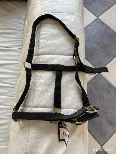 Licol Norton nylon doublé cuir