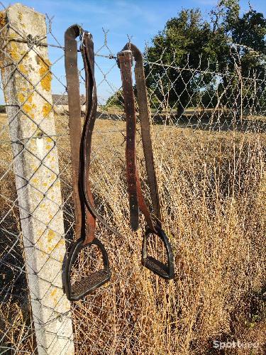 Étrivières et etriers 