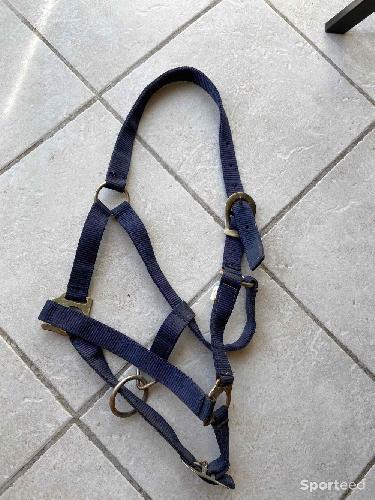 Licol taille poney