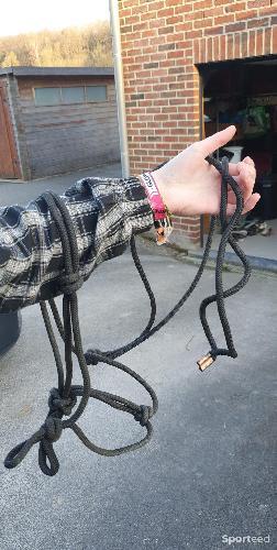 Licol en corde noire