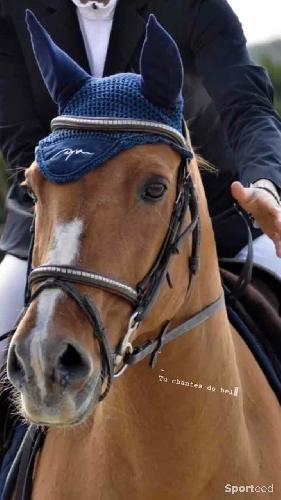 Equitation - Bonnet dyon  - photo 5