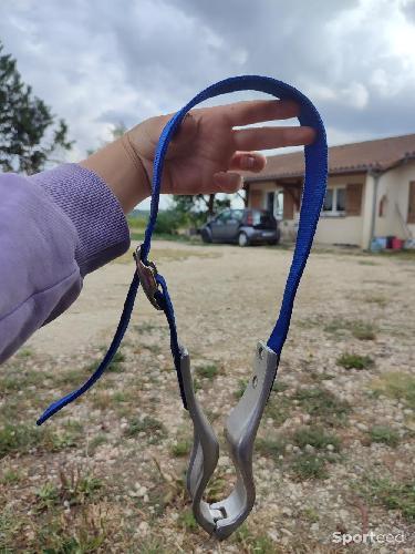 Collier anti tiqueur 