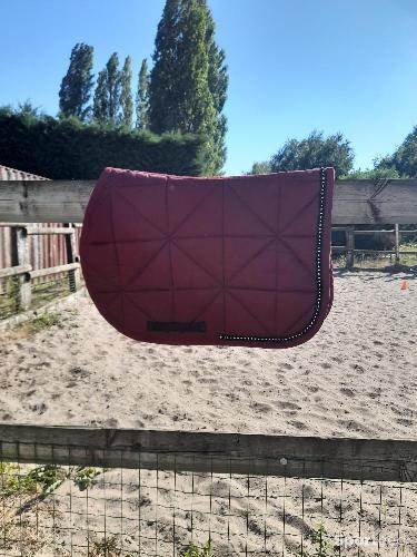 Equitation - Tapis  - photo 6