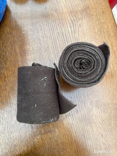 Bande de polo marron 