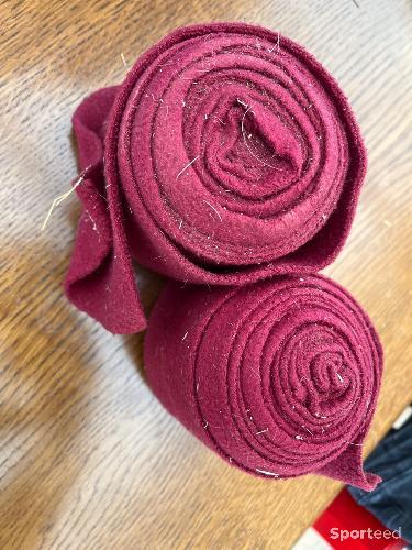 Bande de polo bordeaux 