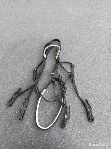Bride taille cheval sans mors et rênes 