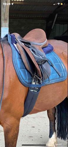 tapis padd bleu marine 