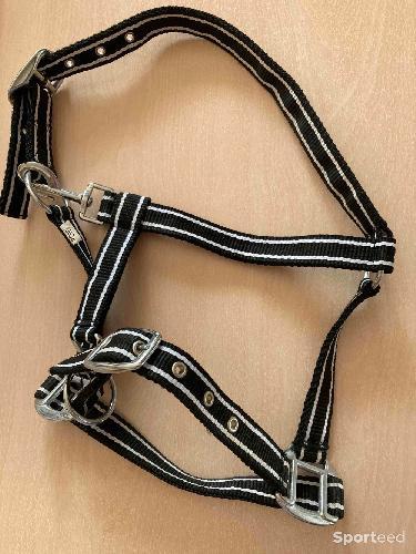 Licol Noir Pony marque Horze