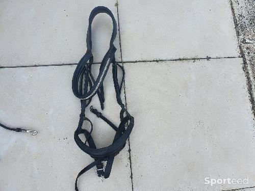 Filet anatomique têtière reculé