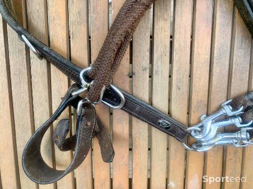 Equitation - Gogue marron  - photo 4