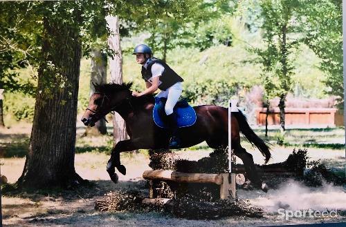 Equitation - Gilet de Cross taille L Marque HKM - photo 4