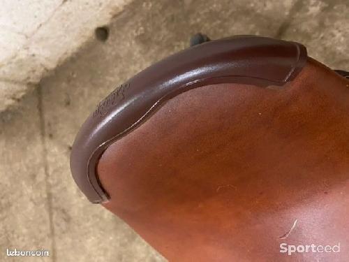 Equitation - selle - photo 6