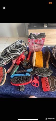 Brosse équitation 