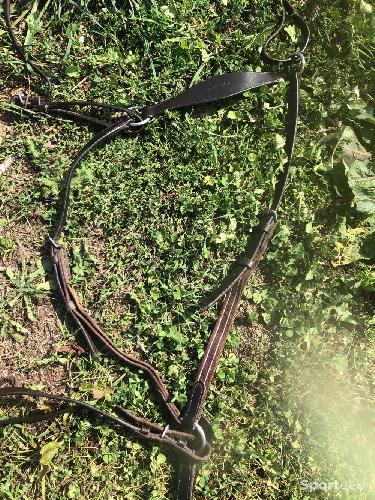 Equitation - Collier de chasse + martingale - photo 4