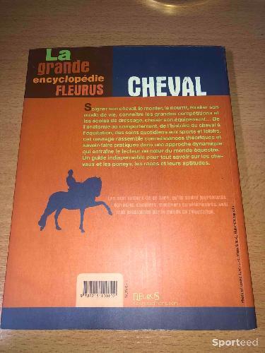 Equitation - Livre pour découvrir/observer les chevaux - photo 3