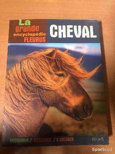 Equitation - Livre pour découvrir/observer les chevaux - photo 3