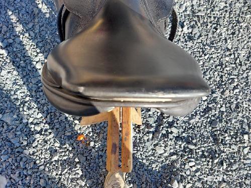 Equitation - Selle obstacle lamicell  - photo 6