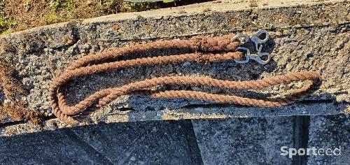 Rênes de pony games