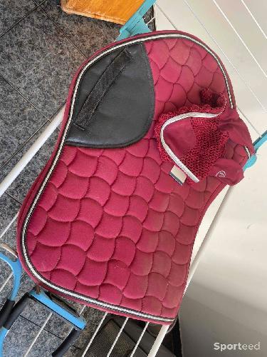 Ensemble tapis Equi thème 