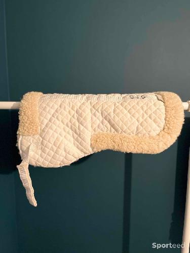 Amortisseur de dos C.S.O