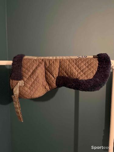 Amortisseur de dos Poney C.S.O bleu