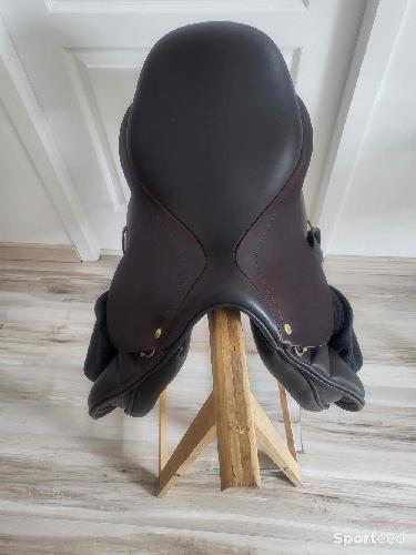 Equitation - Selle  - photo 3