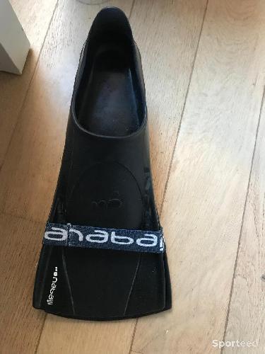 palmes courtes 37-38