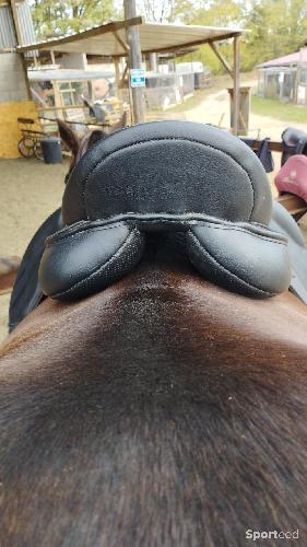 Equitation - Selle mixte SHOWMASTER  - photo 6