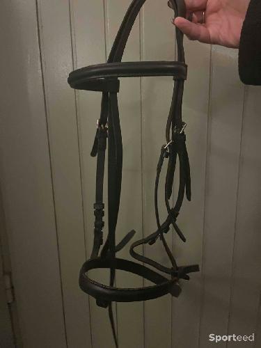 filet noir taille cheval