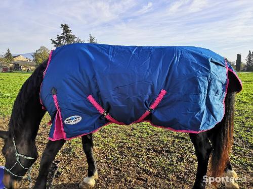 Equitation - Couverture 220g 160cm - photo 6