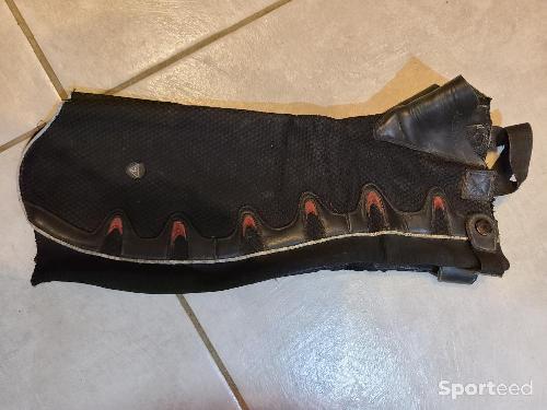 Mini-chaps mountain horse 