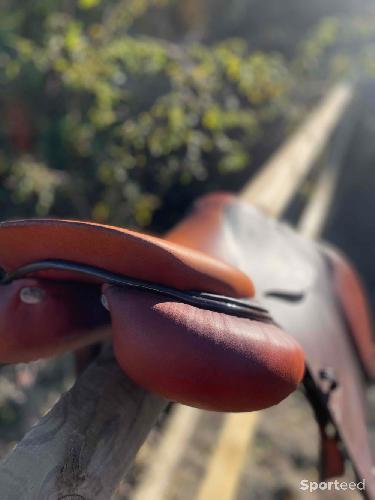 Equitation - Selle gbs 2022 - photo 6