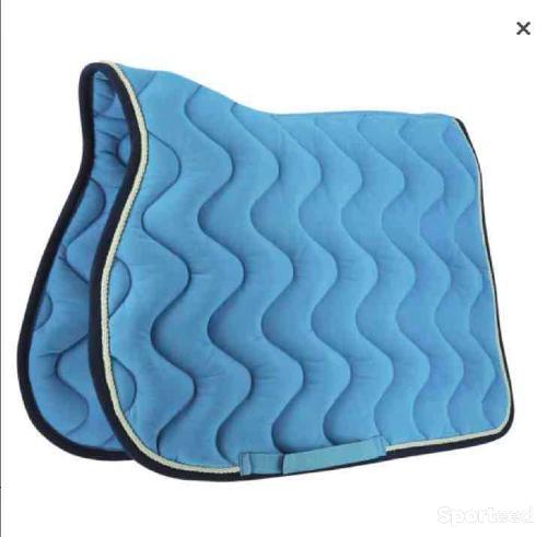 Tapis equitheme bleu