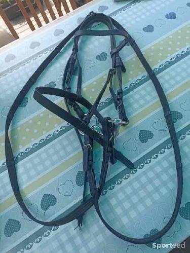 Filet noir avec Rênes 