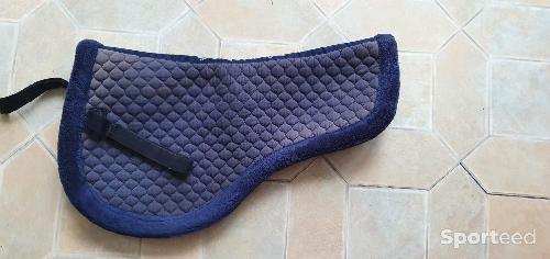 Amortisseur bleu equitheme